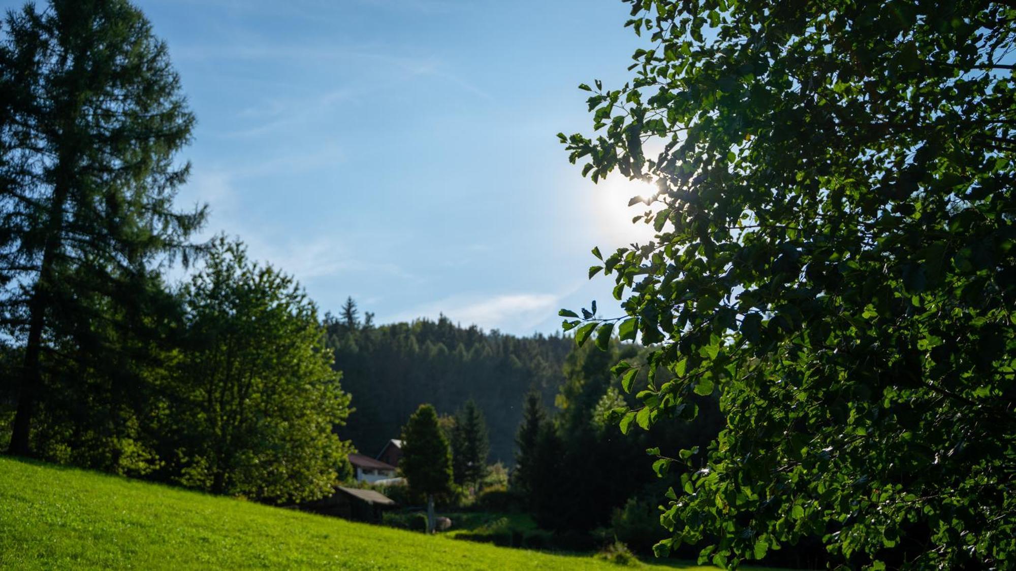 Penzion Myskova Διαμέρισμα Teplice nad Metují Εξωτερικό φωτογραφία